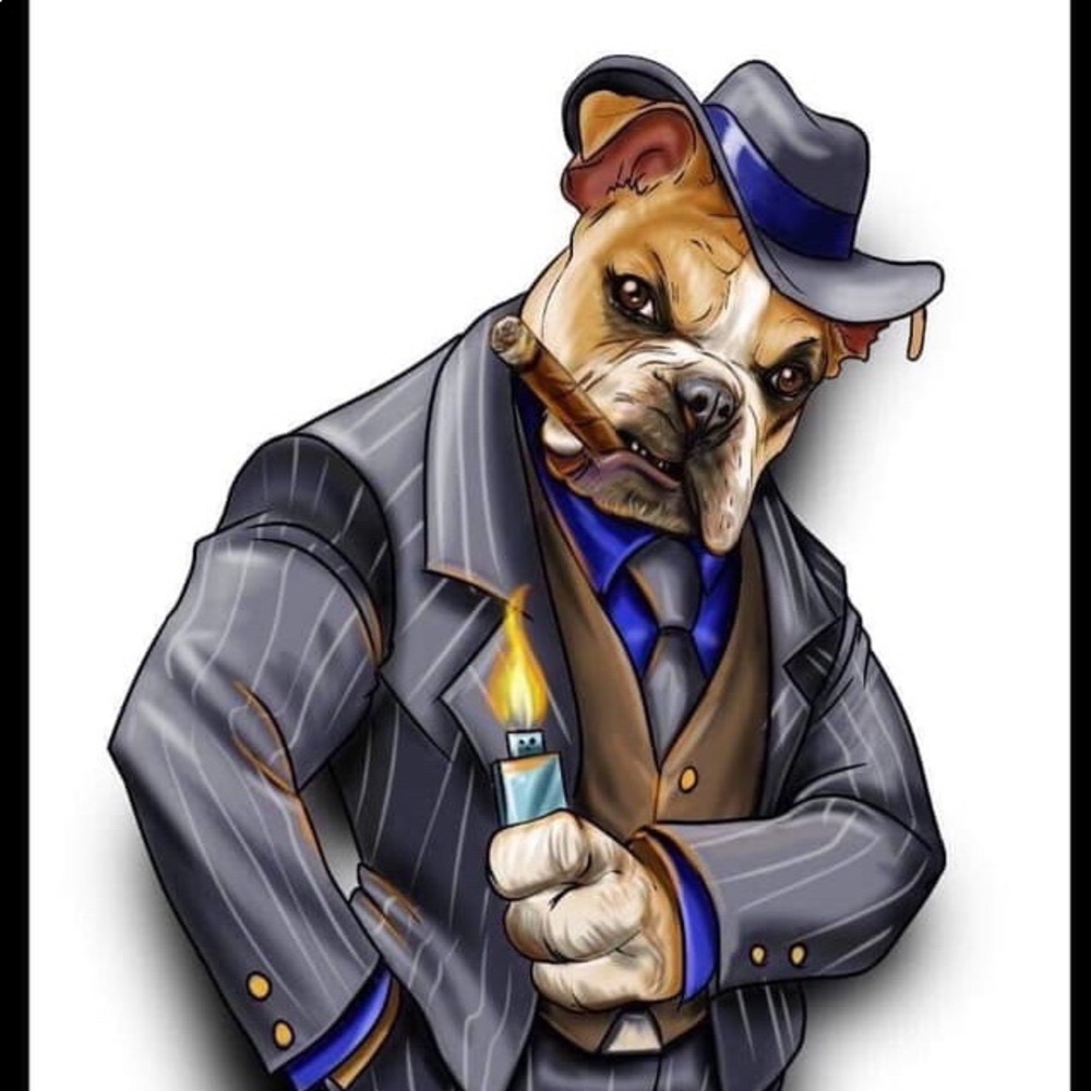 Meet your Posher, Porfirio